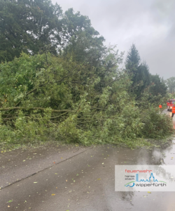 L_H_20251004_TH1_Hönnige