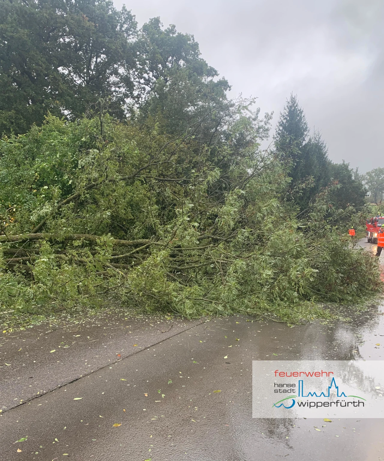 L_H_20251004_TH1_Hönnige